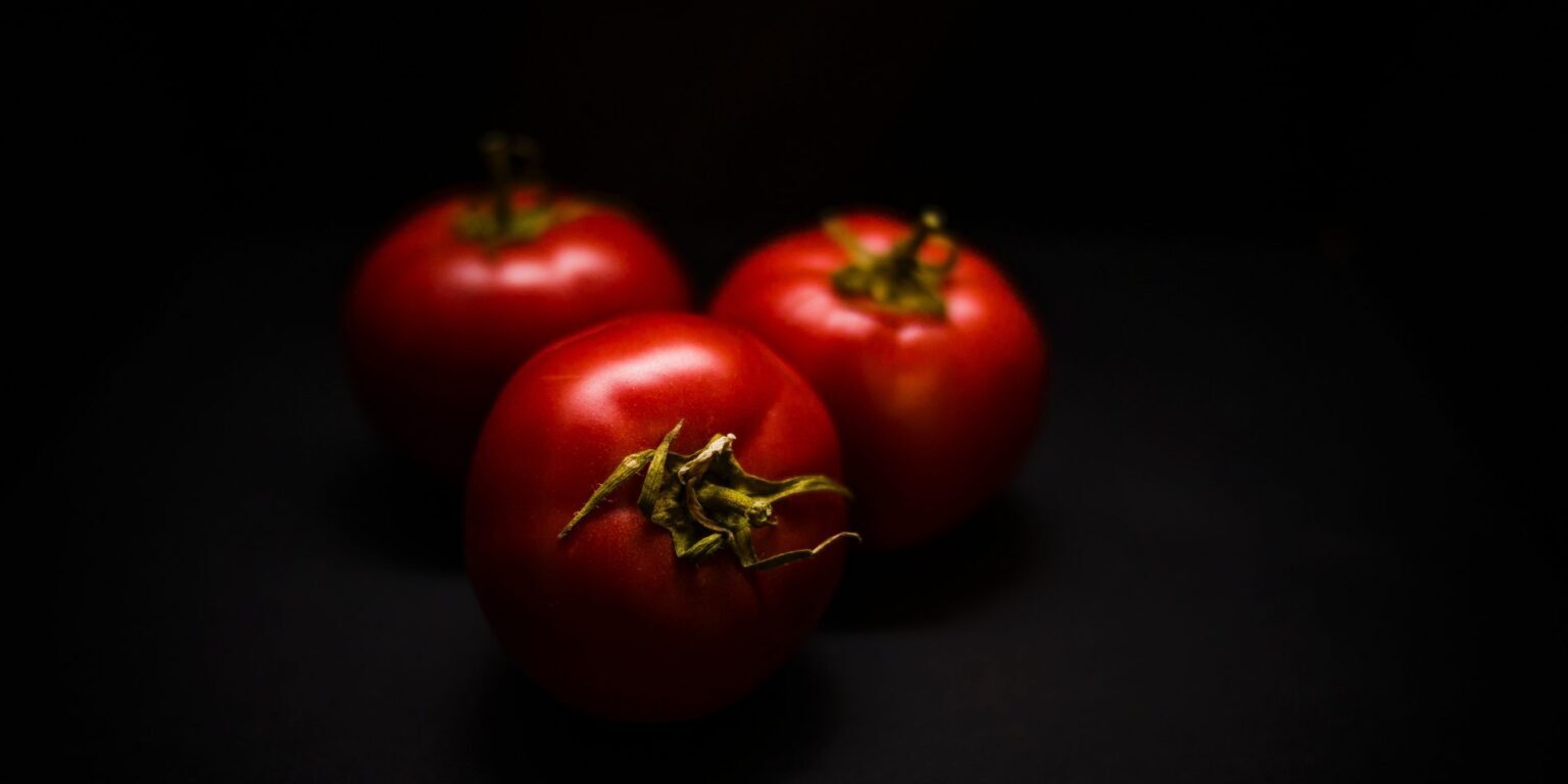 Photo by Michał Grosicki on Unsplash